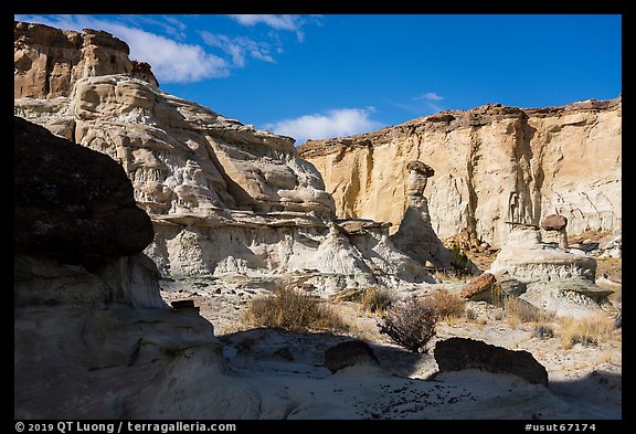 Cliff amphitheater with caprocks, Wahweap Wash. Grand Staircase Escalante National Monument, Utah, USA