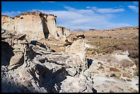 Cliffs and Wahweap Wash. Grand Staircase Escalante National Monument, Utah, USA ( color)