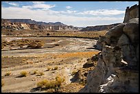 Wahweap Wash. Grand Staircase Escalante National Monument, Utah, USA ( color)