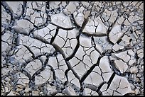 Cracked mud, Wahweap Wash. Grand Staircase Escalante National Monument, Utah, USA ( color)