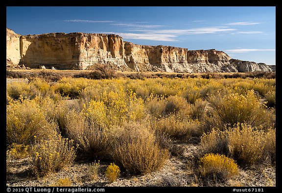 Rabbitbrush and cliffs bordering Wahweap Wash. Grand Staircase Escalante National Monument, Utah, USA (color)