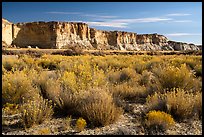 Rabbitbrush and cliffs bordering Wahweap Wash. Grand Staircase Escalante National Monument, Utah, USA ( color)