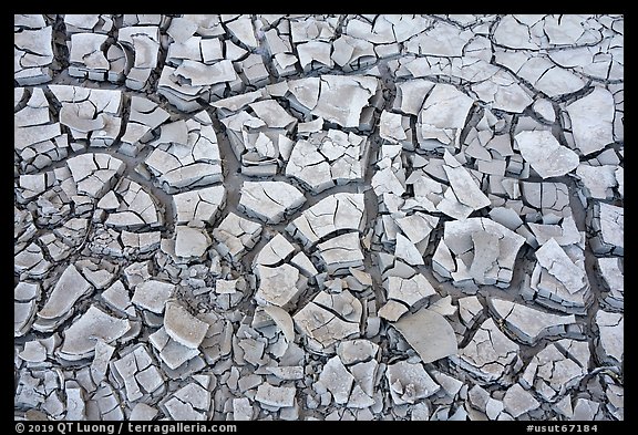 Dried mud. Grand Staircase Escalante National Monument, Utah, USA (color)