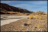 Wahweap Wash bed. Grand Staircase Escalante National Monument, Utah, USA ( color)