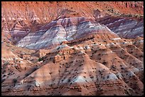 Chinle formation badlands, Old Paria. Grand Staircase Escalante National Monument, Utah, USA ( color)