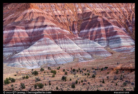 Colorful badlands of Chinle formation, Old Paria. Grand Staircase Escalante National Monument, Utah, USA (color)