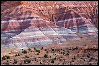 Colorful badlands of Chinle formation, Old Paria. Grand Staircase Escalante National Monument, Utah, USA ( color)