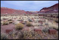 Old Pahrea cemetery. Grand Staircase Escalante National Monument, Utah, USA ( color)