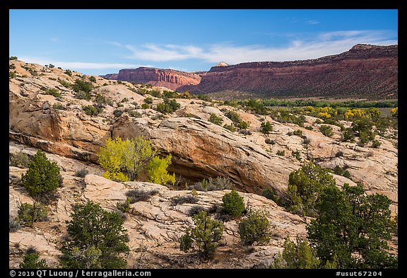 Slickrock and Comb Ridge. Bears Ears National Monument, Utah, USA (color)