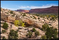 Slickrock and Comb Ridge. Bears Ears National Monument, Utah, USA ( color)