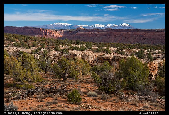 Cedar Mesa and snowy Abajo Mountains. Bears Ears National Monument, Utah, USA