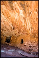 House on Fire Ruin. Bears Ears National Monument, Utah, USA ( color)