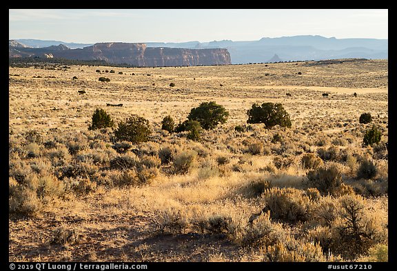 Hatch Point Plateau. Bears Ears National Monument, Utah, USA