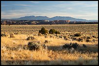 Hatch Point Plateau, cliffs and mountains. Bears Ears National Monument, Utah, USA ( color)