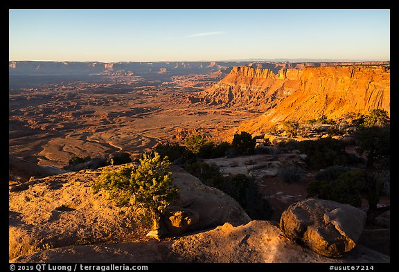 Lockart Basin and canyon rims, sunset. Bears Ears National Monument, Utah, USA (color)