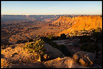 Lockart Basin and canyon rims, sunset. Bears Ears National Monument, Utah, USA ( color)