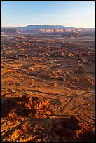 Indian Creek from Needles Overlook, sunset. Bears Ears National Monument, Utah, USA ( color)