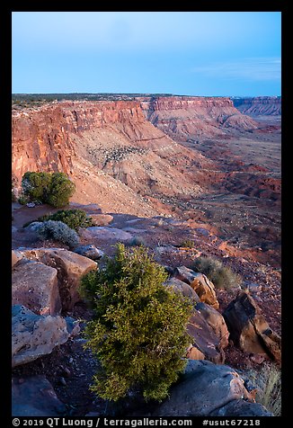 Canyon Rims, dusk. Bears Ears National Monument, Utah, USA (color)