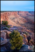 Canyon Rims, dusk. Bears Ears National Monument, Utah, USA ( color)