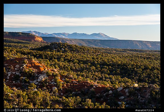 Blue Mountains from Salvation Knoll. Bears Ears National Monument, Utah, USA (color)