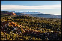 Blue Mountains from Salvation Knoll. Bears Ears National Monument, Utah, USA ( color)