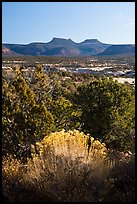 Bears Ears from Natural Bridges National Monument. Bears Ears National Monument, Utah, USA ( color)