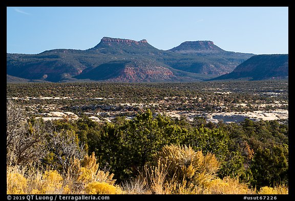 Bears Ears. Bears Ears National Monument, Utah, USA (color)