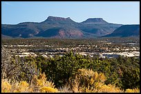 Bears Ears. Bears Ears National Monument, Utah, USA ( color)