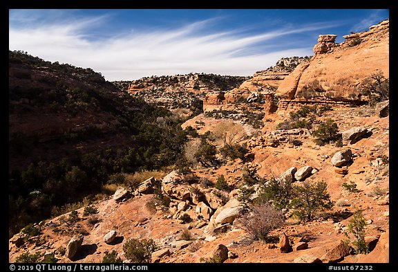 Road Canyon from rim. Bears Ears National Monument, Utah, USA (color)