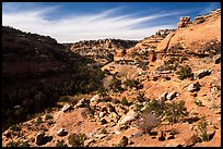 Road Canyon from rim. Bears Ears National Monument, Utah, USA ( color)