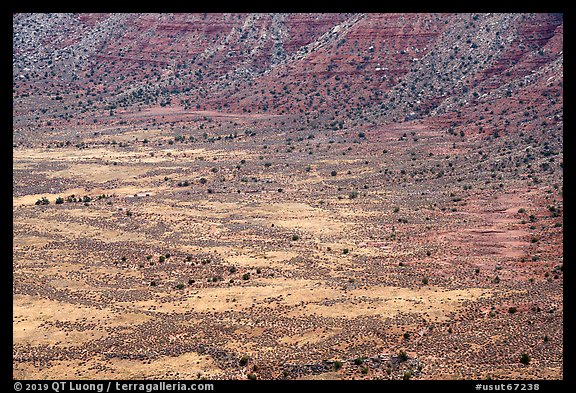 Distant detail, Valley of the Goods floor and cliffs. Bears Ears National Monument, Utah, USA (color)