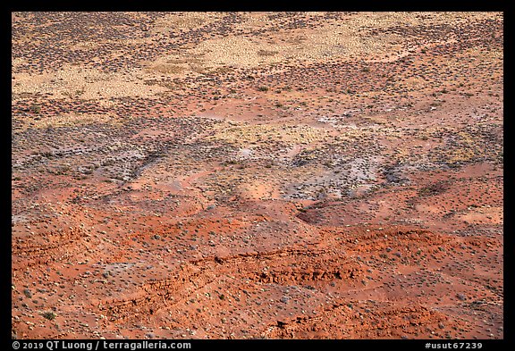 Distant detail, Valley of the Goods floor. Bears Ears National Monument, Utah, USA (color)