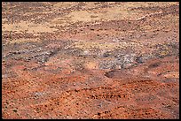 Distant detail, Valley of the Goods floor. Bears Ears National Monument, Utah, USA ( color)