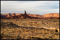 Valley of the Gods with Cedar Mesa Cliffs. Bears Ears National Monument, Utah, USA ( color)