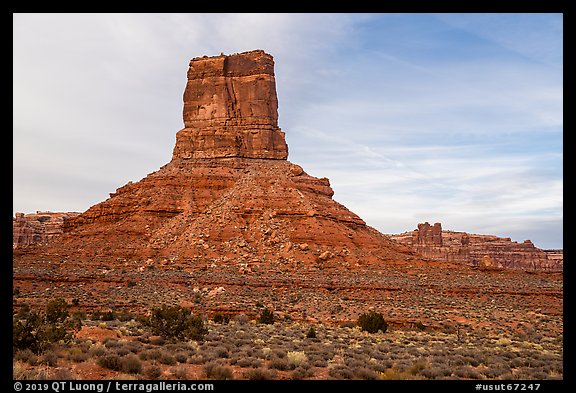 Buttes, Valley of the Gods. Bears Ears National Monument, Utah, USA (color)