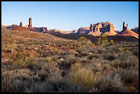 Desert vegetation, butte and spires, Valley of the Gods. Bears Ears National Monument, Utah, USA ( color)