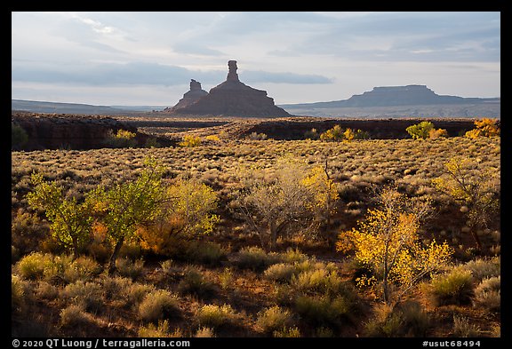Autumn foliage and spires, Valley of the Gods. Bears Ears National Monument, Utah, USA (color)