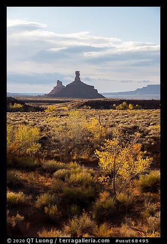 Trees in autumn foliage and spires, Valley of the Gods. Bears Ears National Monument, Utah, USA (color)