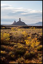 Trees in autumn foliage and spires, Valley of the Gods. Bears Ears National Monument, Utah, USA ( color)