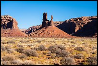 Valley of the Gods. Bears Ears National Monument, Utah, USA ( color)