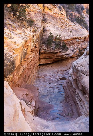 Slickrock chute, Bullet Canyon. Bears Ears National Monument, Utah, USA (color)