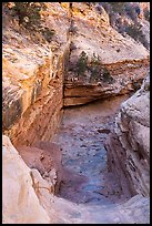Slickrock chute, Bullet Canyon. Bears Ears National Monument, Utah, USA ( color)