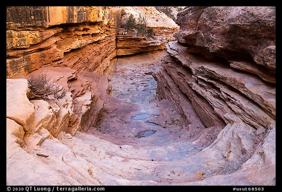 Sloping Slickrock chute, Bullet Canyon. Bears Ears National Monument, Utah, USA (color)