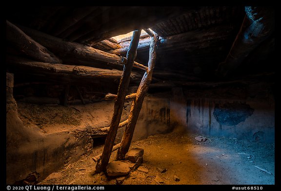 Ladder and Kiva. Bears Ears National Monument, Utah, USA (color)