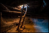 Ladder and Kiva. Bears Ears National Monument, Utah, USA ( color)