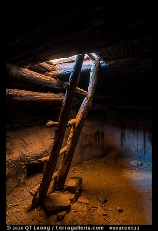 Ladder, Perfect Kiva. Bears Ears National Monument, Utah, USA (color)