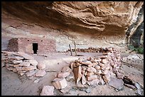 Kiva and ruin with doorway. Bears Ears National Monument, Utah, USA ( color)