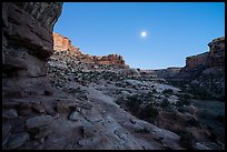 Bullet Canyon and moon at twilight. Bears Ears National Monument, Utah, USA ( color)