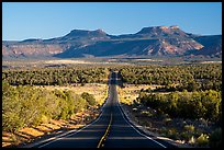 Highway 261 and Bears Ears Buttes. Bears Ears National Monument, Utah, USA ( color)