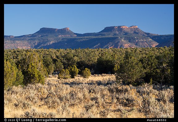 Sage, junipers, and Bears Ears Buttes. Bears Ears National Monument, Utah, USA (color)